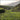 Tea fields in Anxi county, Fujian province, China where Red Dawn black tea is grown.