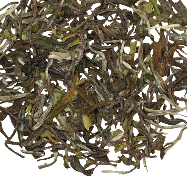 Loose leaf Mangrove Sunbird Darjeeling 1st Flush Indian black tea