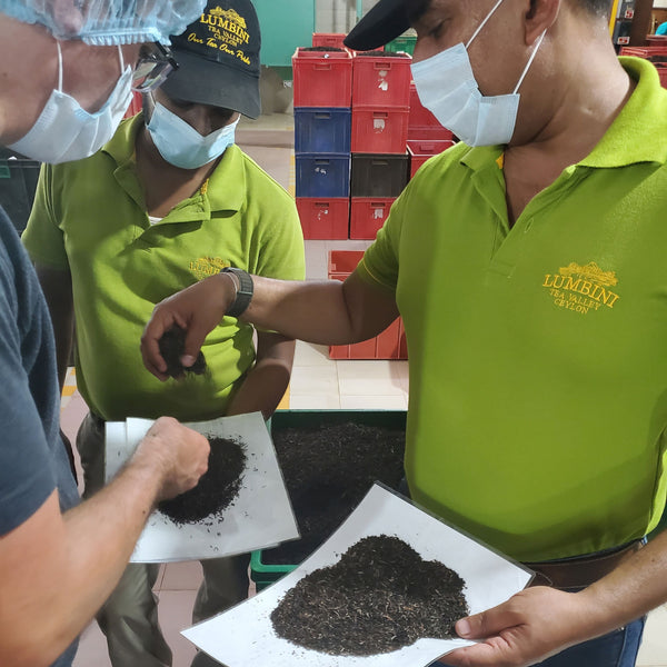 Tour of Lumbini Tea Factory, grades of tea