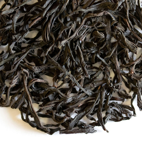 Loose leaf Gambler's Luck black tea