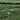 88th Night Shincha tea fields