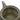 8oz Echo Tokoname Teapot Kyusu wrap around infuser