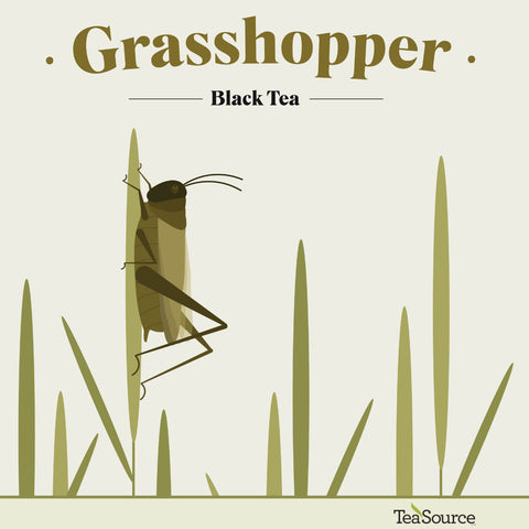 Grasshopper | Black Tea