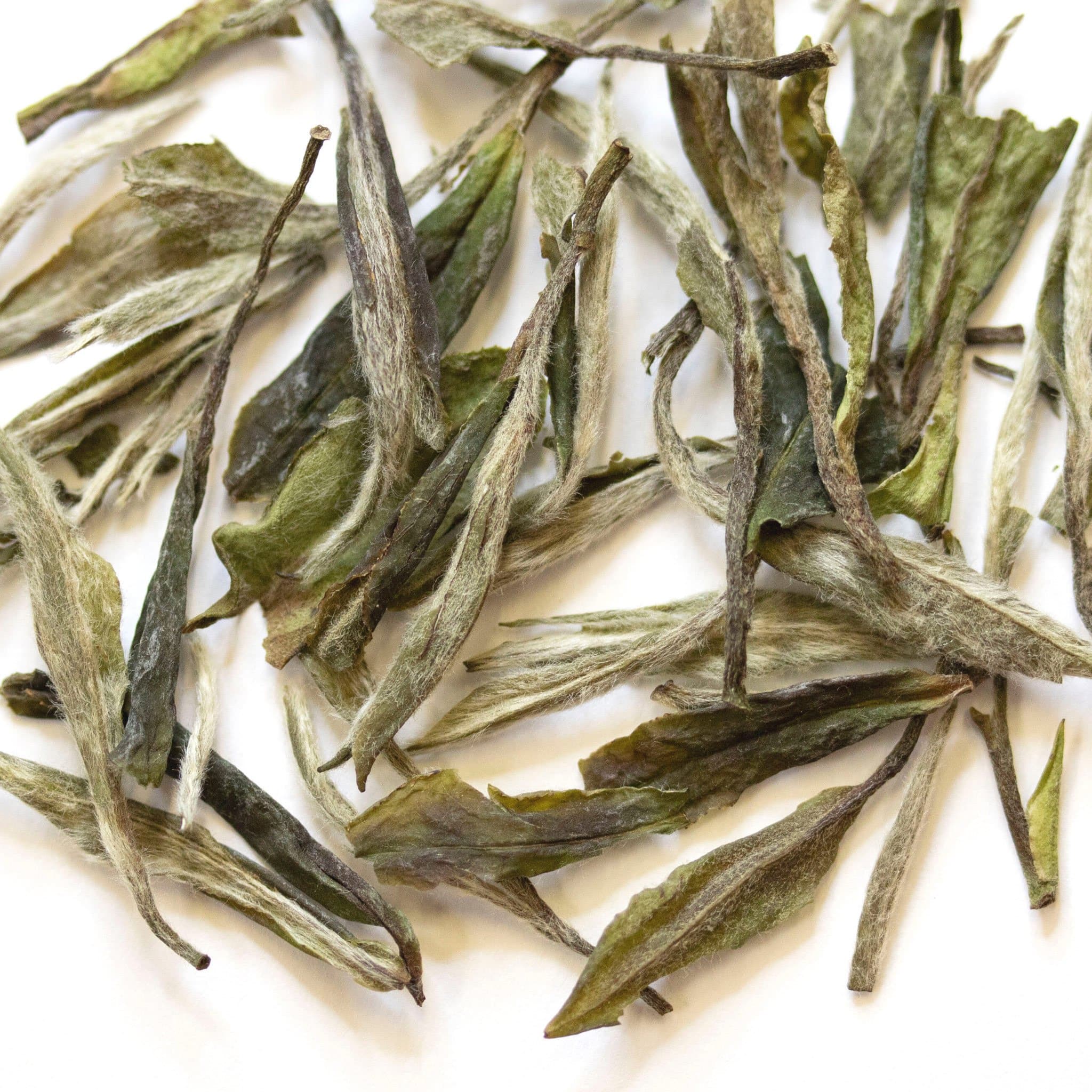 Loose leaf Bamboo Forest Bai Mu Dan white tea