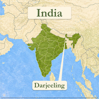Darjeeling Black Tea