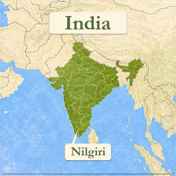 Nilgiri Black Tea