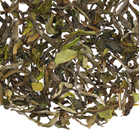 Whistling Warbler Darjeeling 1st Flush | Black Tea