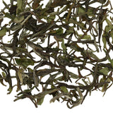 Loose leaf Moustached Babbler Darjeeling 1st Flush black tea