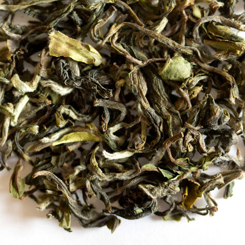 Moustached Babbler Darjeeling 1st Flush | Black Tea