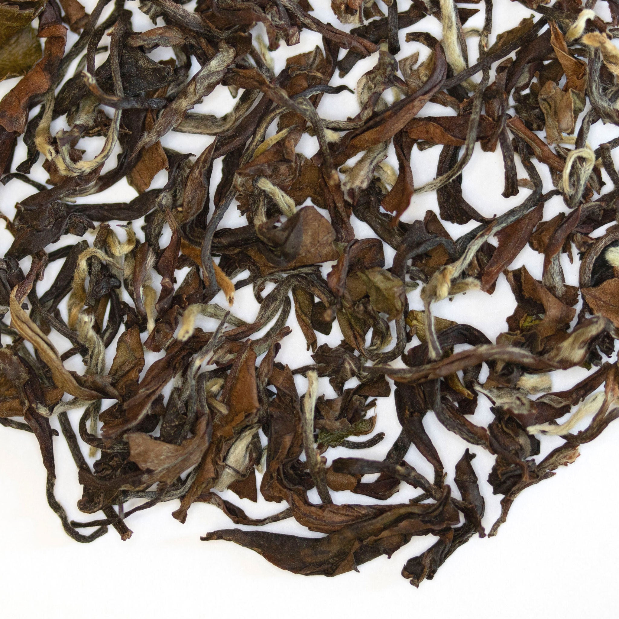 Loose leaf Hawkin's Rail Darjeeling 2nd Flush Indian black tea