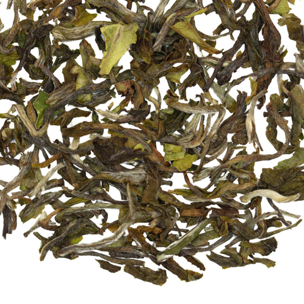 Loose leaf Celestial Monarch Darjeeling 1st Flush black tea