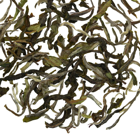 Satin Swiftlet Darjeeling 1st Flush | Black Tea