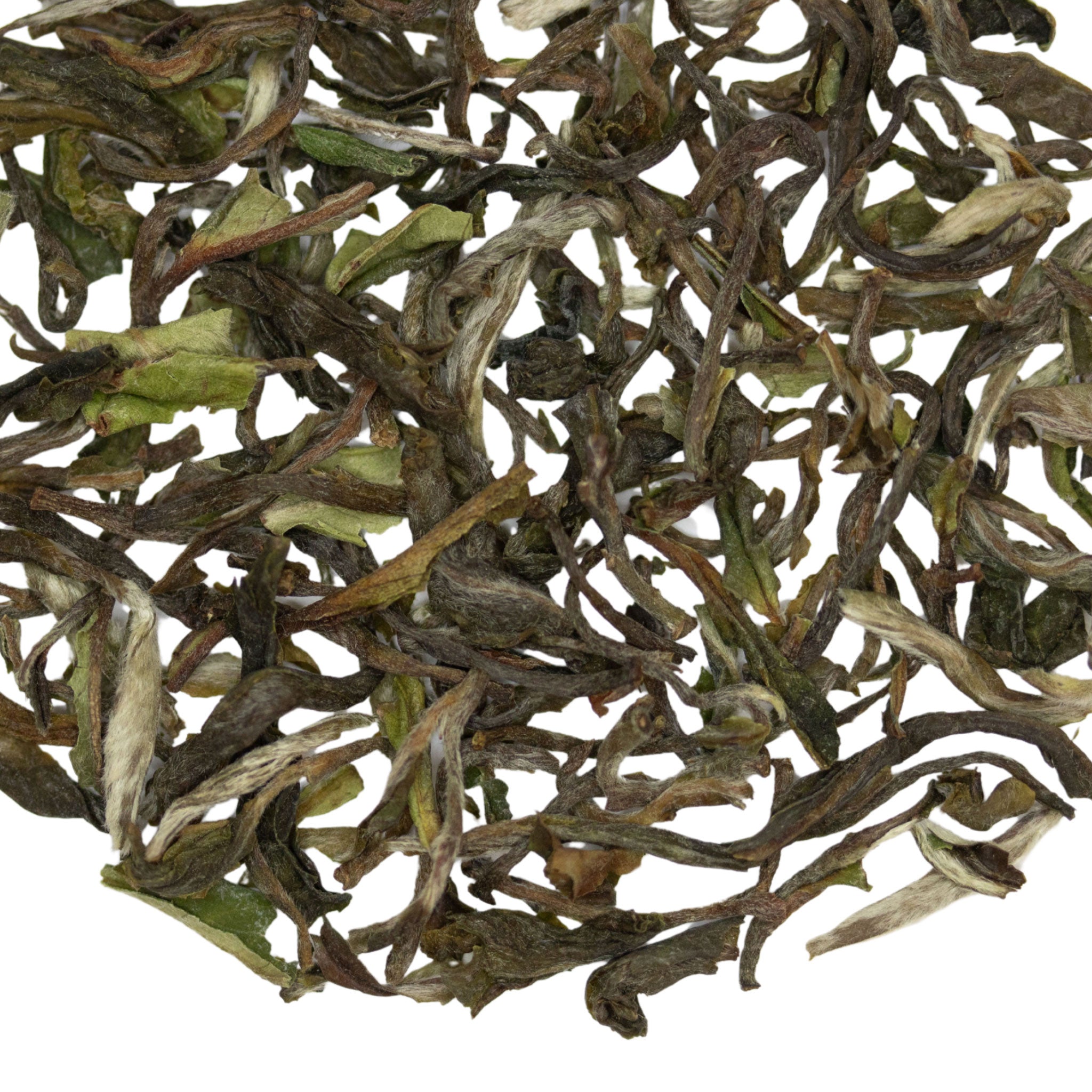 Loose leaf Satin Swiftlet Darjeeling 1st Flush Indian black tea