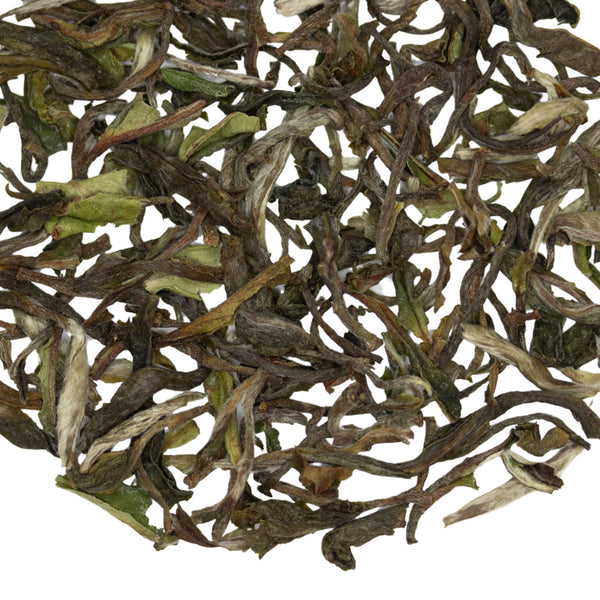 Loose leaf Satin Swiftlet Darjeeling 1st Flush Indian black tea