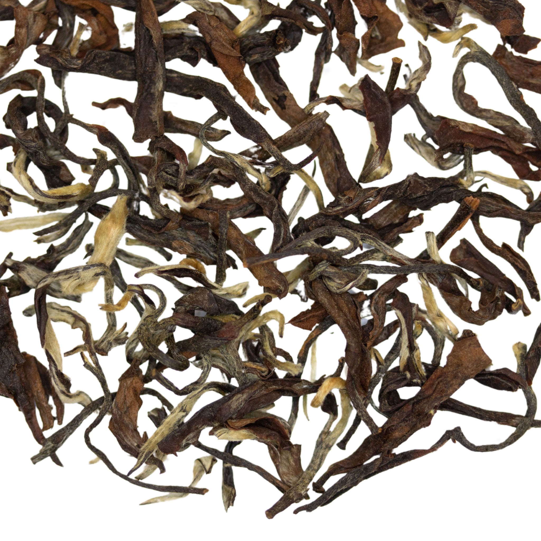 Loose leaf Bonaparte's Nightjar Darjeeling 2nd Flush Indian black tea