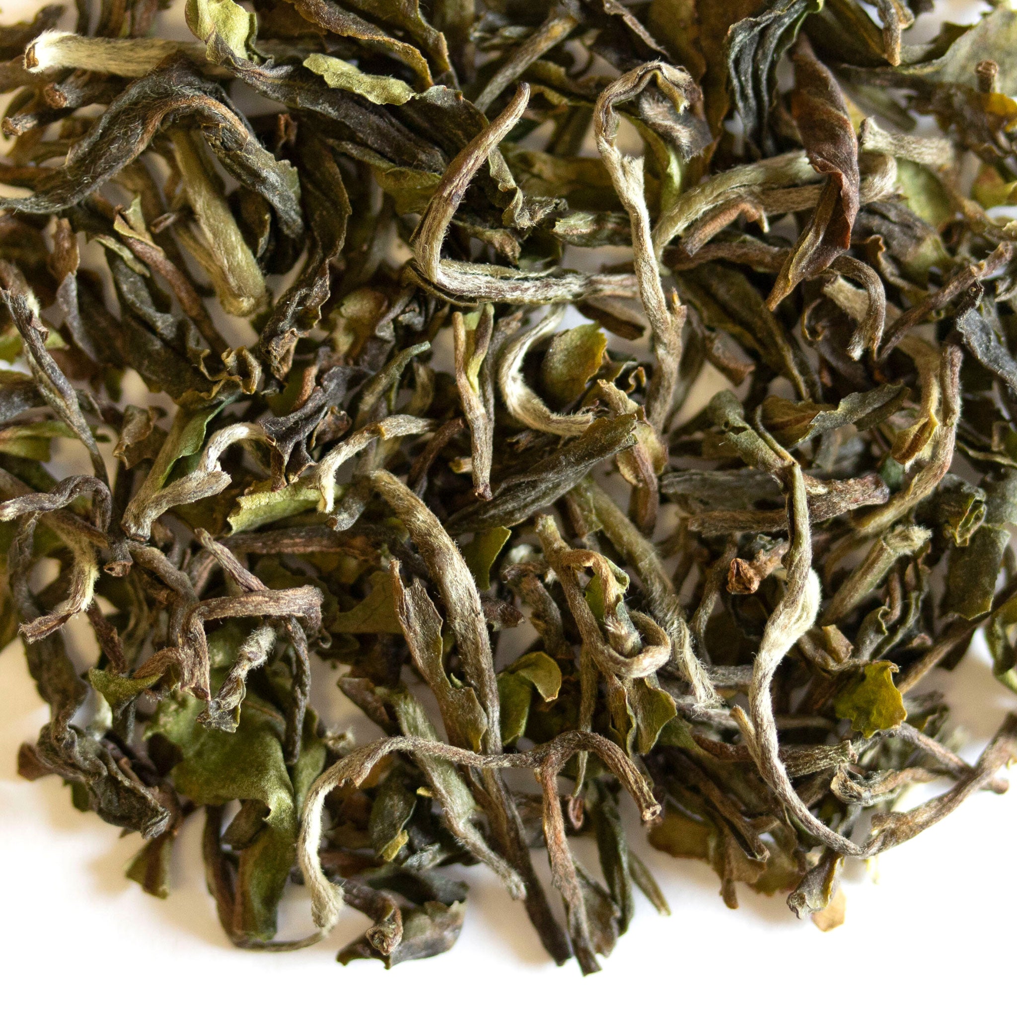 Loose leaf Wingspan Darjeeling 1st Flush black tea