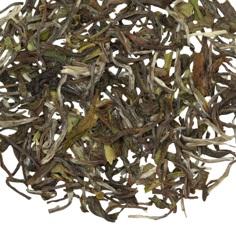 Darjeeling Black Tea | Indian Black Tea | TeaSource | TeaSource