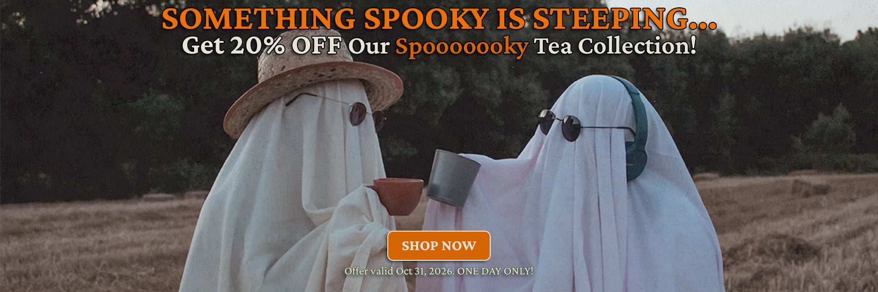 Promotional banner featuring two people dressed as ghosts in white sheet costumes standing in a field, with large orange text reading 'SOMETHING SPOOKY IS STEEPING.