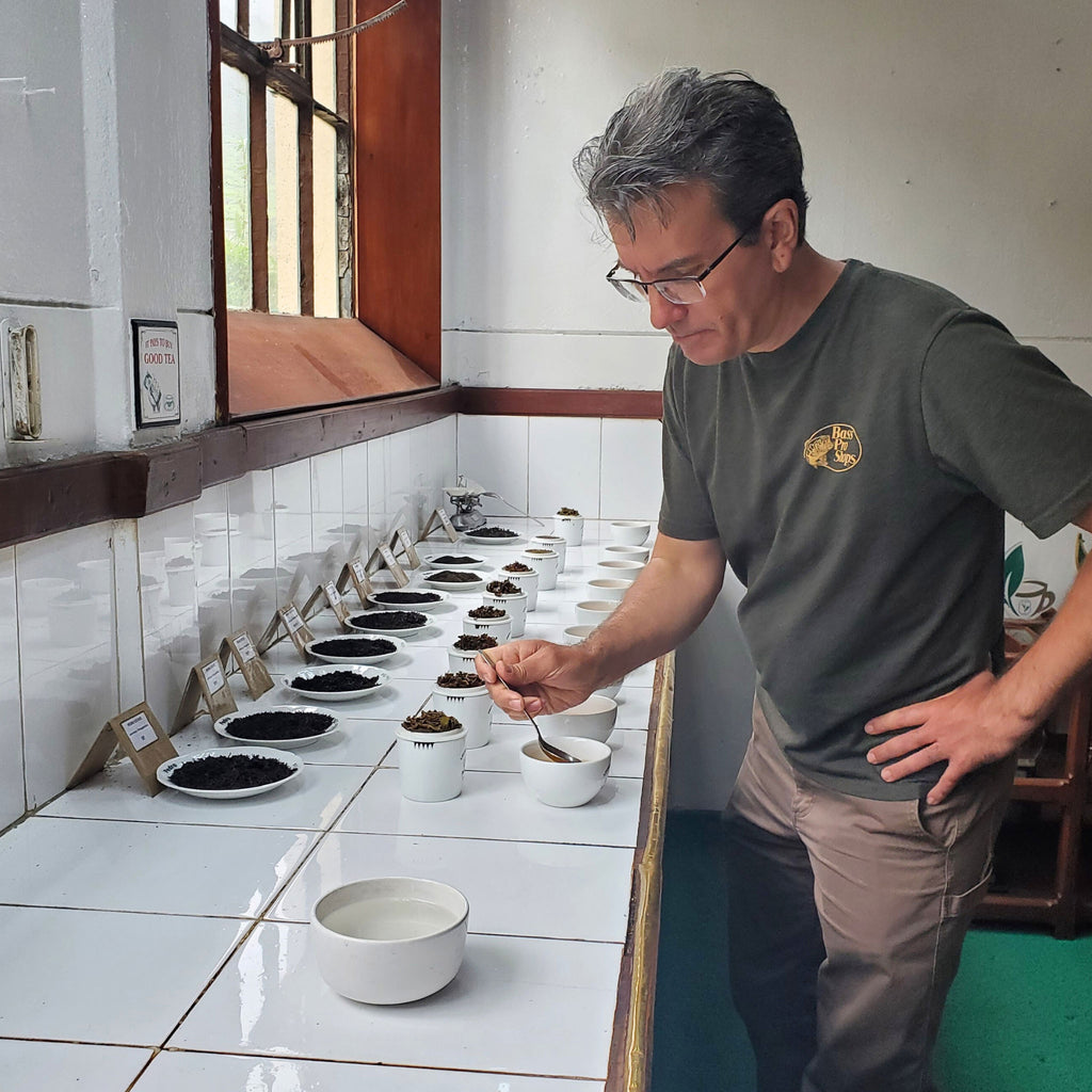 The Quiet Tea Gods of Ceylon | Black Tea | TeaSource