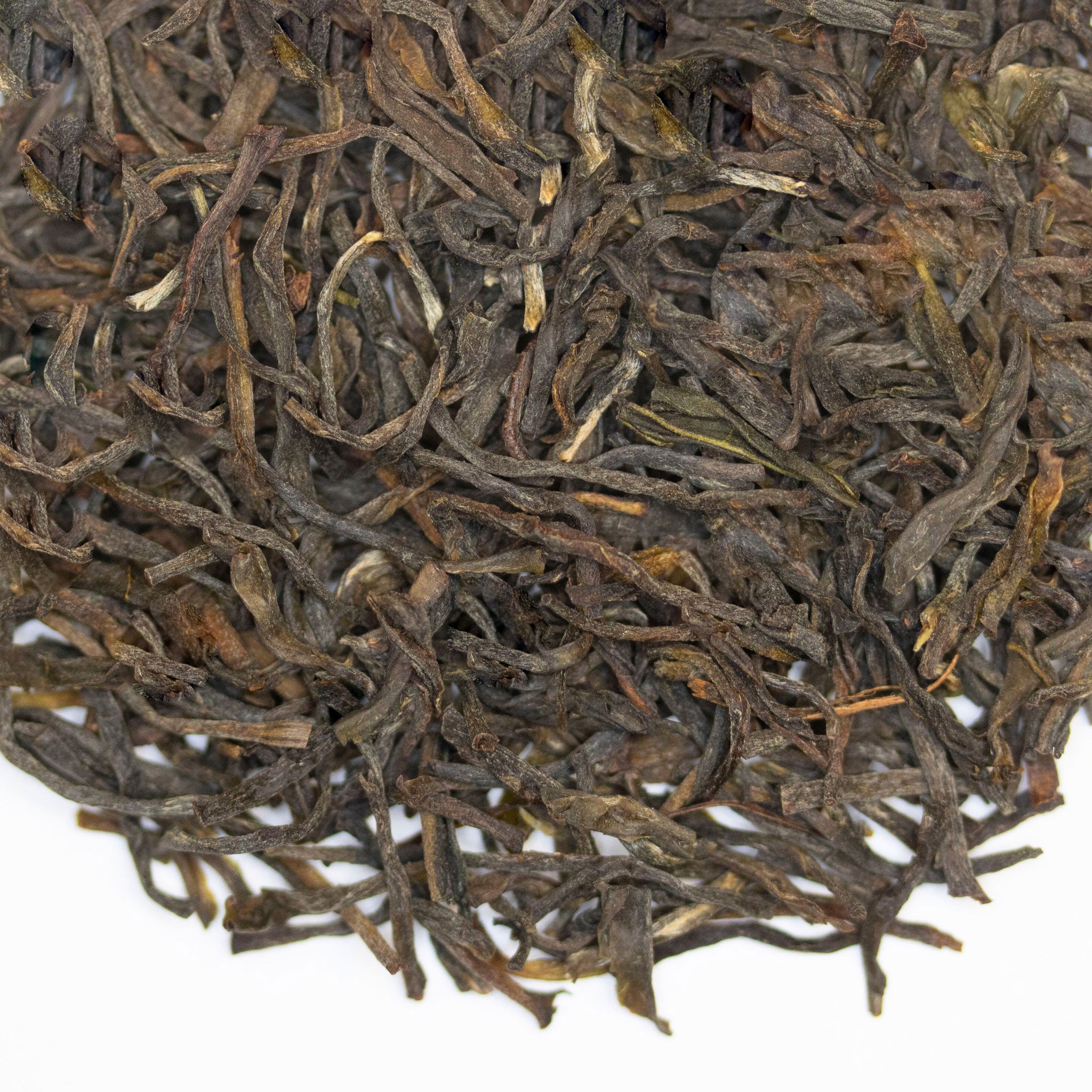 The Quiet Tea Gods of Ceylon | Black Tea | TeaSource