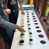 Cupping tea at Somerset Estate, Dimbula region, Sri Lanka