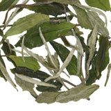 Loose leaf Wildflower White Tea