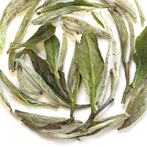 Tropical VitaliTea Green And White Loose Leaf Tea Blend