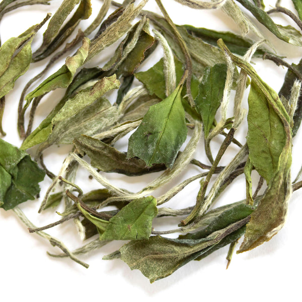 Loose leaf Fieldstone white tea