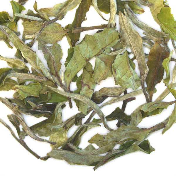 Loose leaf Snapdragon white tea