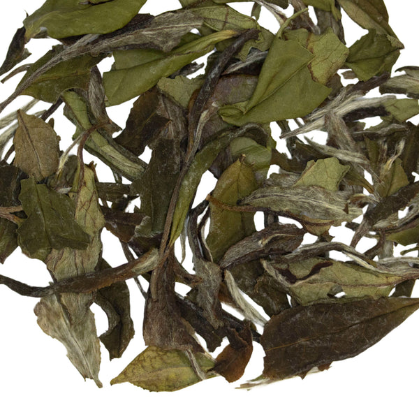 Loose leaf White Lightning white tea