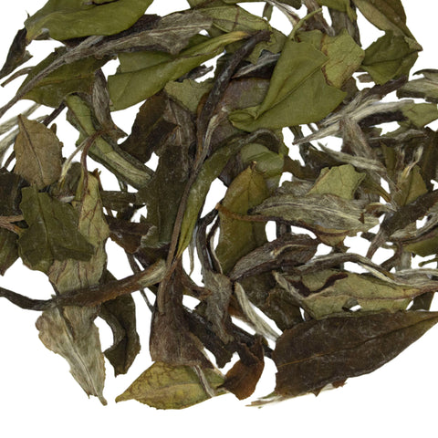 White Lightning | White Tea