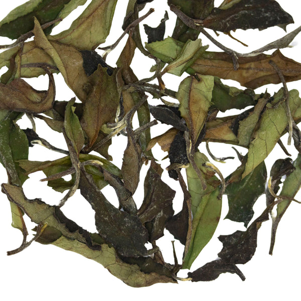 Loose leaf Whispering Cave white tea