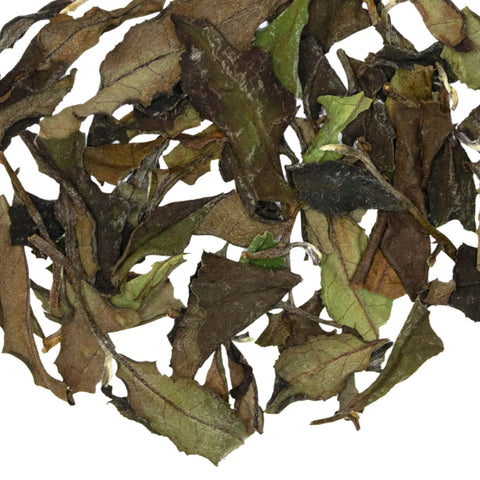 Untamed Elements | White Tea