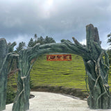 Pan An County, Zhejiang Province, China