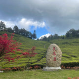 Pan An County, Zhejiang Province, China