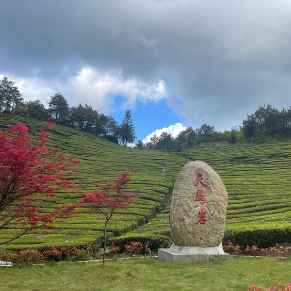 Pan An County, Zhejiang Province, China