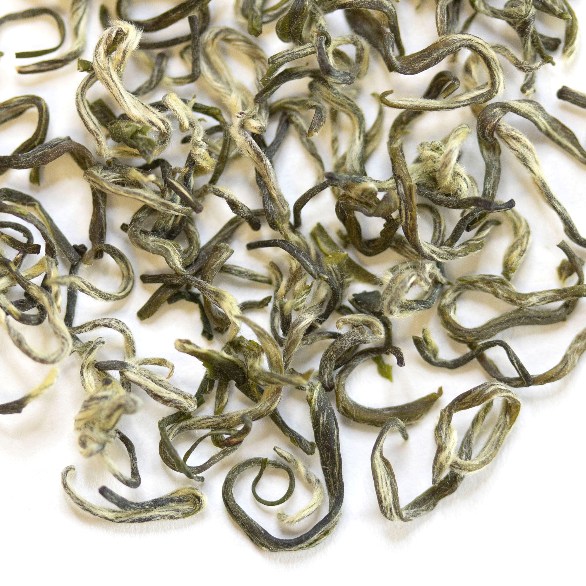 Loose leaf Fibonacci Spiral Bi Luo Chun green tea