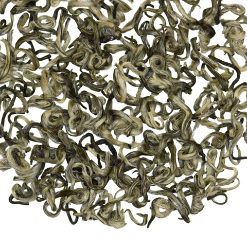 Fibonacci Spiral | Green Tea