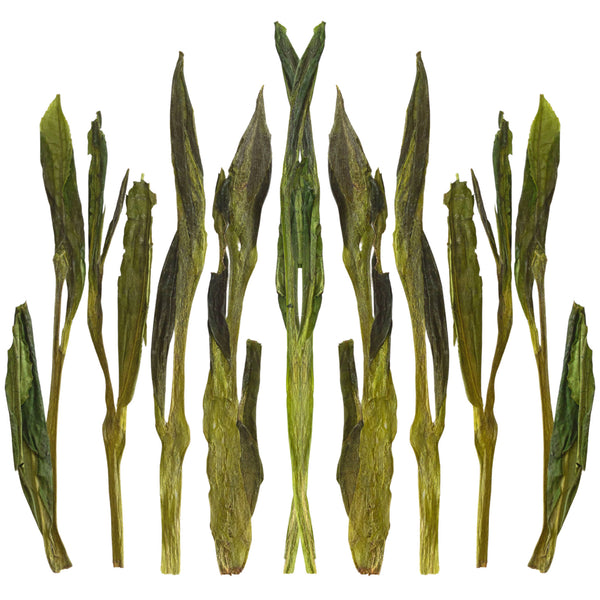 Loose leaf Jade Pillar green tea