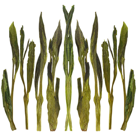 Jade Pillar | Green Tea
