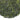 Loose leaf Gazebo Gyokuro Japanese green tea