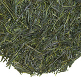 Loose leaf Sunroom Sencha Japanese green tea