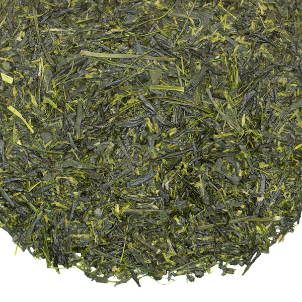Loose leaf Hot Springs Sencha Japanese green tea