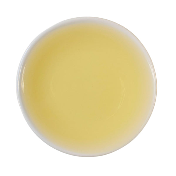 Steeped cup Painter's Canvas Kamairicha Japanese green tea