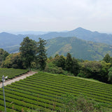 Ureshino City, Saga Prefecture, Japan