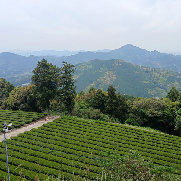 Ureshino City, Saga Prefecture, Japan