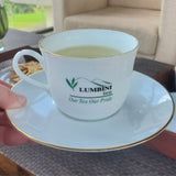 Drinking Ceylon Rainforest Green tea at Lumbini Tea Factory