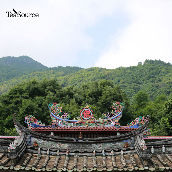 Daredevil Oolong fields