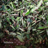 Daredevil Oolong withering