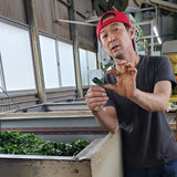 Tea producer Masahiro Okutomi